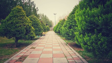 footpath in the park