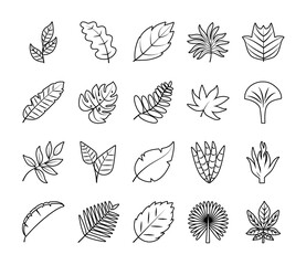 tropical leaves line style icon set vector design