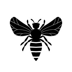 Cartoon cute bee mascot. Bee flies. Small wasp. Outline black logo element. Vector insect icon. Template design for invitation, cards, wallpaper, kindergarten. Doodle style.