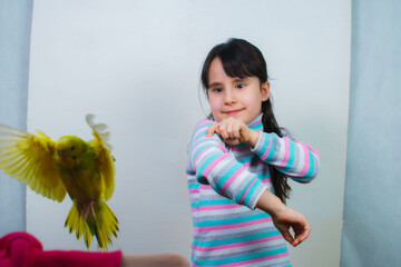 the child plays and communicates with his green hand-wavy parrot. Tamed Pet