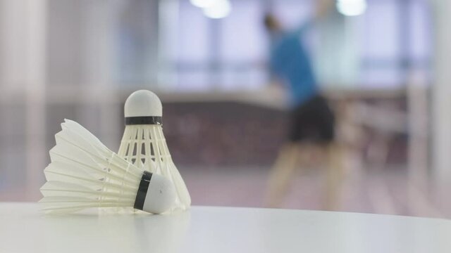 Wide shot of two men playing badminton on indoor court. Rack focus changes to shuttlecock lying at front. Athletic sportsmen training in gym.