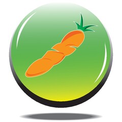 carrot