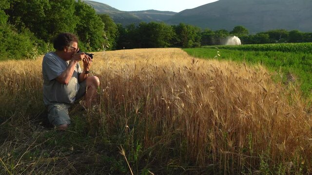 In the last light of the day a photographer takes a picture of a wheat field