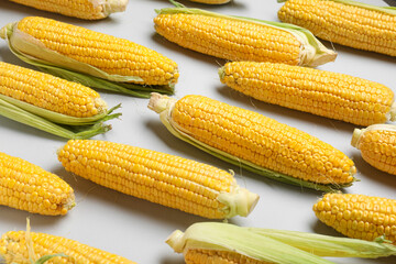 Fresh corn cobs on light background