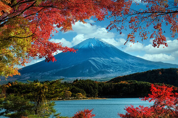 Mount Fuji with colorful leaves as foreground