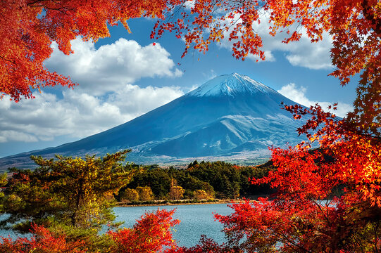 Mount Fuji with colorful leaves as foreground
