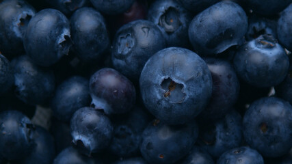 top view of blueberry filling all photo. Blueberry texture background
