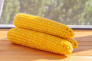 Three juicy cob cooked crispy corn on the wooden table in the rays of the midday sun close up.