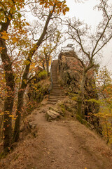 path in the autumn forest