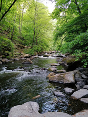 Obraz premium River Bode near Thale, Germany