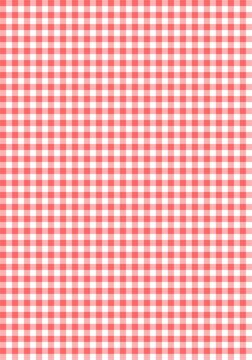 Tropical Pink Gingham Pattern