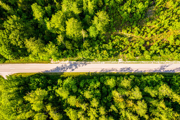High angle view of a road trough the forest. GErmany, Bavaria, Europe