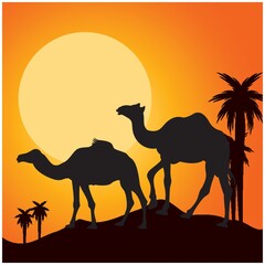 Fototapeta na wymiar silhouette of camels