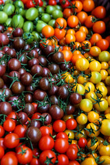 Background Of Are Plane Of Five Kinds Of Tomatoes Raw Texture