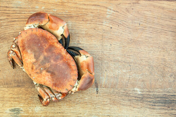 freshly cooked crabs on a wooden chopping board