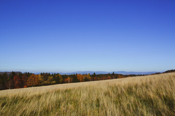 Górska panorama 