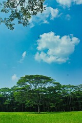 Green land below blue view