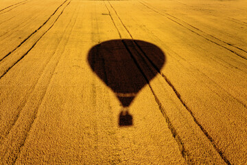 silhouette, shadow of air balloon flying over yellow wheat field