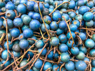 traditional blue olive fruit of Sri Lanka as a background