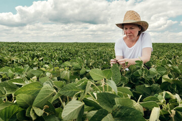 Female farmer agronomist examining soybean crops in cultivated field