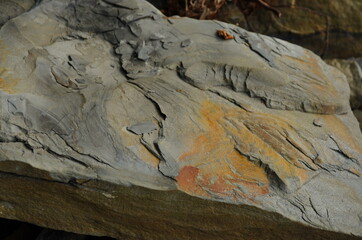 Rock layers - a colorful formations of rocks stacked over the hundreds of years. Interesting background with fascinating texture.