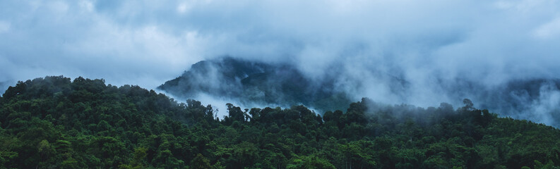 Landscape image of foggy greenery rainforest mountains and hills