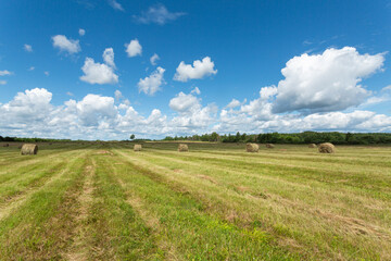 Beautiful farmlands of Pskov region, Russia. Horizontal image.