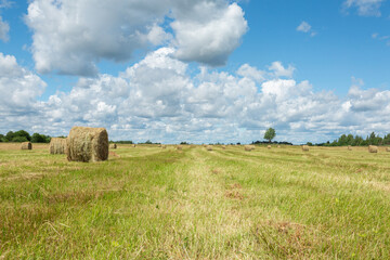 Green grassy field and the hay stacks on a sunny summer day in the village of Russia. Horizontal image.