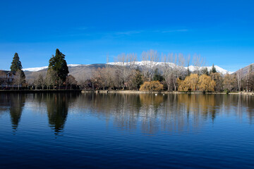 reflection of trees in lake