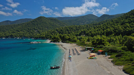 Aerial drone panoramic photo of famous turquoise paradise beach of Milia covered with pine trees, Skopelos island, Sporades, Greece