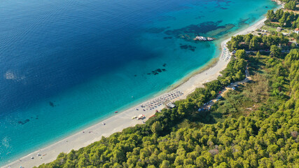 Aerial drone panoramic photo of famous turquoise paradise beach of Milia covered with pine trees, Skopelos island, Sporades, Greece