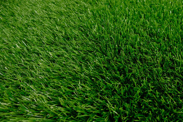 green artificial grass top view. floor covering. background, copy space
