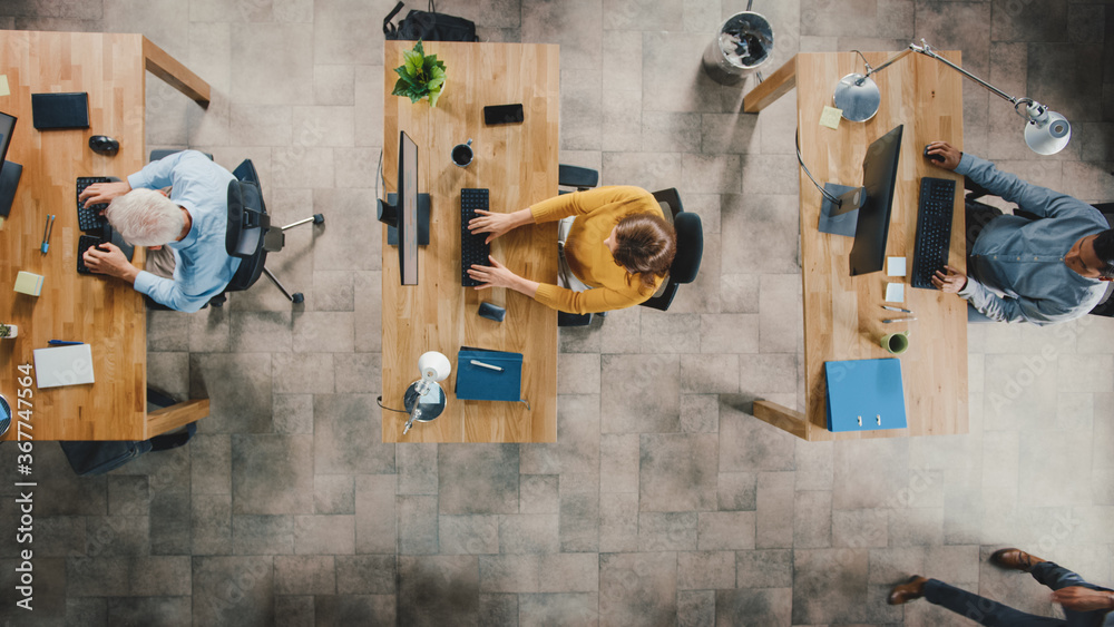 Poster top view shot in the office: diverse group of business startup employees sitting at their desks work