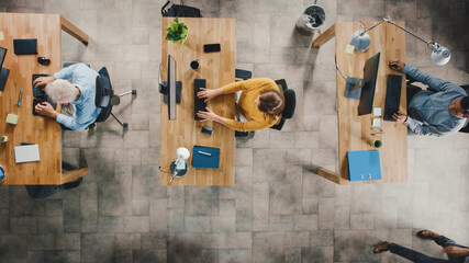 Top View Shot in the Office: Diverse Group of Business Startup Employees Sitting at their Desks...