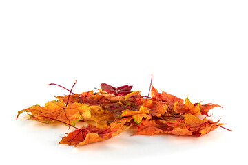Autumn leaves isolated on white background. Copy space