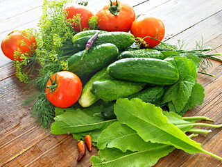 Fresh vegetables - cucumbers, tomatoes. currant leaves, horseradish leaves, dill, for making pickles for the winter