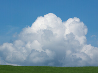 grass and blue sky