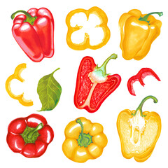 Watercolor illustration of red, yellow, green, paprika bell pepper chili pepper with leaves.  Fresh. Isolated on white.