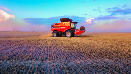 Fototapeta premium Harvesting grain in the field. Bright, morning, summer landscape with a combine harvester.