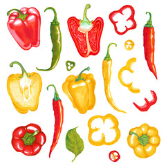 Watercolor illustration of red, yellow, green, paprika bell pepper chili pepper with leaves.  Fresh. Isolated on white.