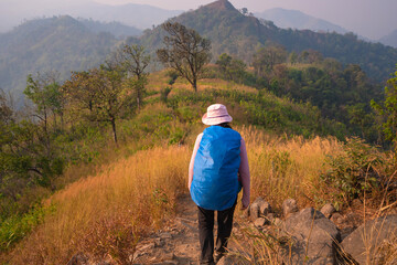 Fototapeta premium young woman hiking enjoying in the mountains with backpack at Khao Chang Puak mountain Thailand