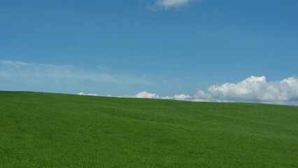green field and blue sky