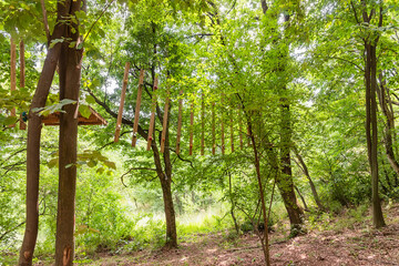 Vrdnik, Serbia-July 15, 2020: Adrenaline park in nature in Vrdnik, Serbia. View of the adventure park with obstacles on the trees.