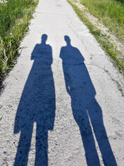 shadows on the ground