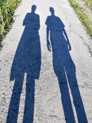 shadows on the ground