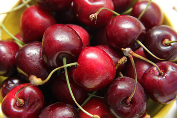 cherries on a white background
