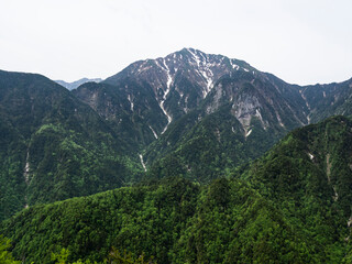 Fototapeta na wymiar 鞍掛山から望む甲斐駒ヶ岳