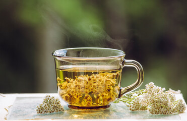 Still life of steaming Achillea millefolium, yarrow or common yarrow herbal medicinal tea in glass...