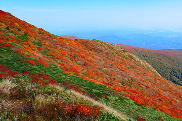 栗駒国定公園、紅葉の栗駒山。栗原、宮城、日本。10月上旬。