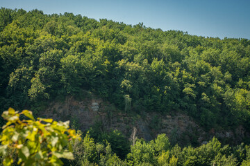 Beautiful summer landscape of green nature. Forest, river and hills